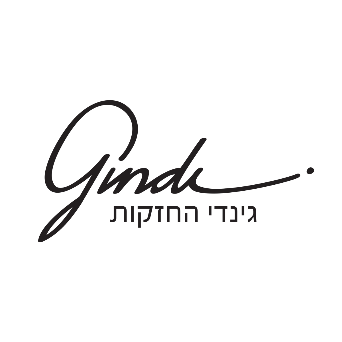 Gindi גינדי החזקות